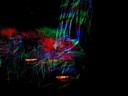 dscn0633.jpg