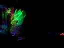 dscn0634.jpg