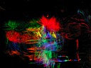 dscn0643.jpg