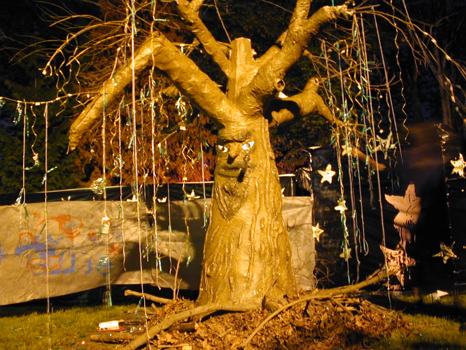 dscn3607.jpg