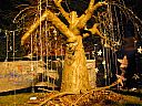 dscn3607.jpg