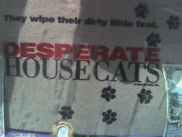 Desperate... housecats?